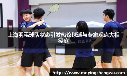 上海羽毛球队状态引发热议球迷与专家观点大相径庭