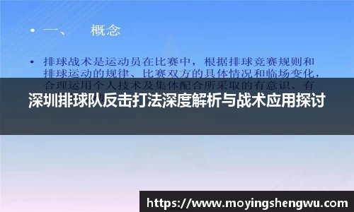 深圳排球队反击打法深度解析与战术应用探讨