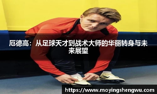 ok138太阳成