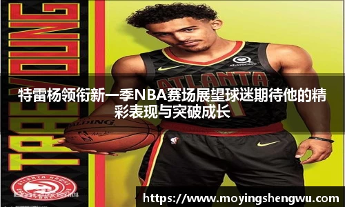 特雷杨领衔新一季NBA赛场展望球迷期待他的精彩表现与突破成长