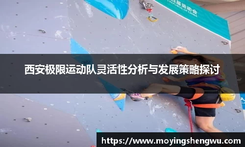 星空·综合体育官方网站